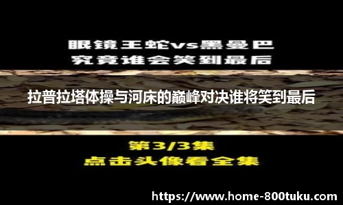 800图库官网