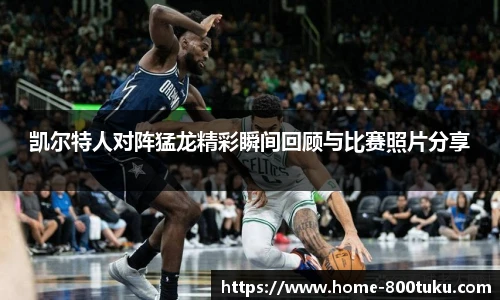 800图库官网