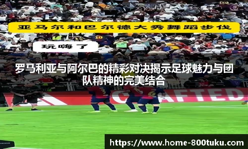 800图库官网