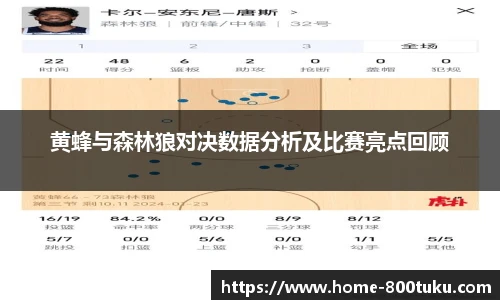 黄蜂与森林狼对决数据分析及比赛亮点回顾
